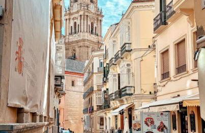 Welcome home Málaga - Photo 29