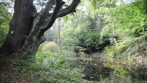 Ferienwohnungen "Christelhof" - Foto 3