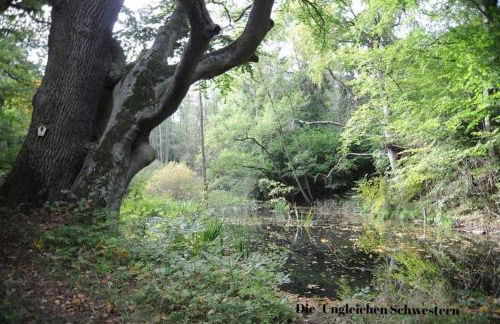 Ferienwohnungen "Christelhof" - Foto 3