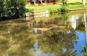 Hotel Fazenda Vale Amanhecer - Photo 128