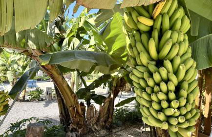 Hayati, Suite Romantica - Foto 27