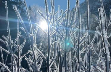 Ferienwohnung Steibis / Allgäu - Foto 7