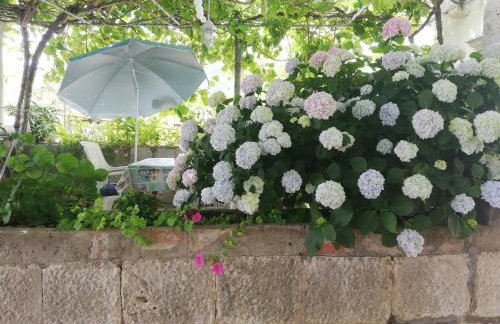 Apartman Marin - Viganj - Foto 15