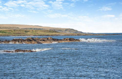 The Old Net Shed - Photo 25