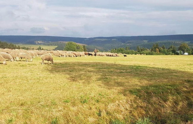 Cozy Apartment Near Trails - Foto 32