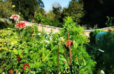 ASHLEY COURT - Foto 15