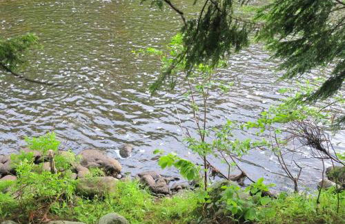 Private Riverfront Safari tent for a Glamping Experience in the Monadnock Region, New Hampshire - Foto 12