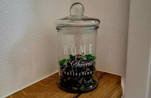 Ferienwohnung Dornröschen - Foto 21