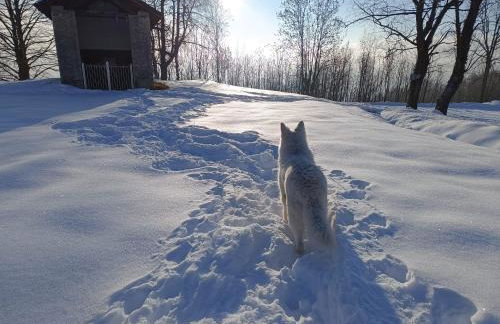 Rifugio Futopia - start here your journey to the discovering of the Alpi Graie - Foto 45