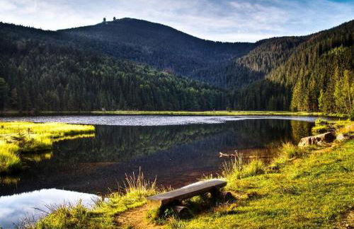 Sonnenblick Comfortable holiday residence - Photo 31