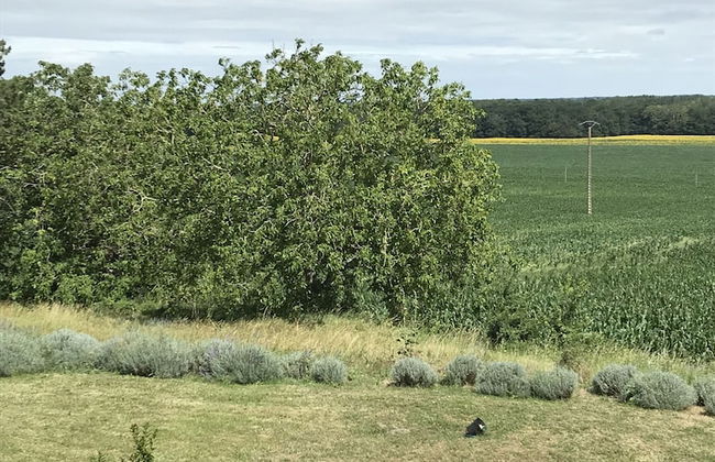 La Tour de Lierre 3 - Foto 56