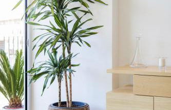 Espinho Sunny Vibes & Balcony with Pool - Foto 33