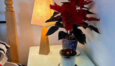 Islay View- Double Bed Apartment (NITB APPROVED) - Foto 4