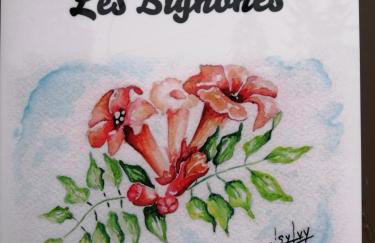 Gîte Les Bignones - Foto 10