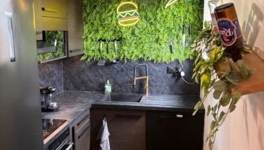 Charmant appartement Toulouse - Foto 2