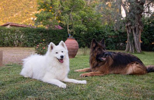 Tsertos Apartments - Foto 35