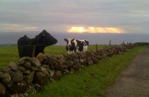 OceanFront Studio - Casa Santo Antonio - Photo 47