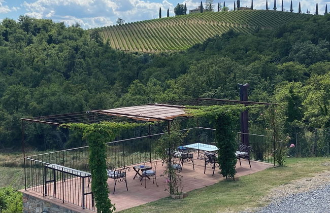 Podere Terreno alla Via della Volpaia - Foto 19