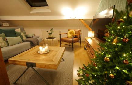 Treetop Apartment - Zwischen Schwarzwald und Schwäbischer Alb - Foto 31