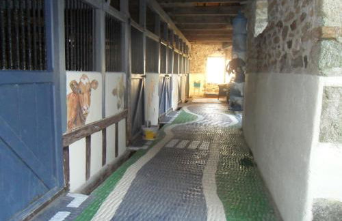 L'Effraie des Clochers - Foto 22