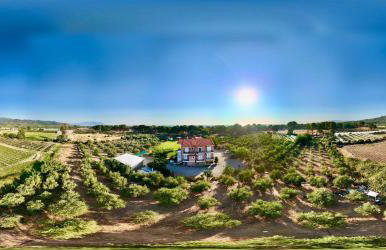 Nonta's Garden - nature & waves - Foto 31