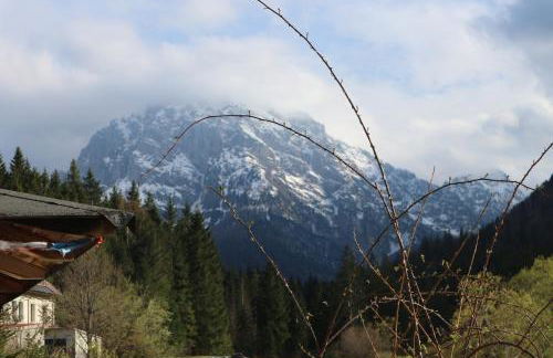 Cave Trieste Apartments - CaTs Apartments - Photo 17