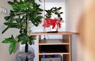 Apartments Vretenar - Photo 22