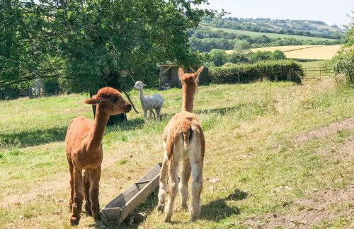 The Granary - Photo 44