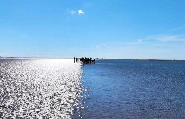 Exklusiv Eingerichtetes Ferienhaus in Strandnahe - Foto 37
