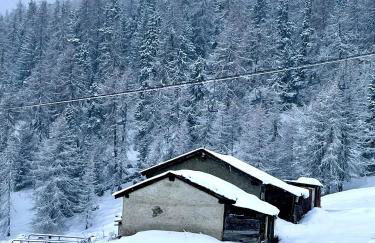 Alpine Vista Villa Hardaker 4 bedrooms Torgnon - Foto 38