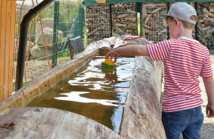 Haus Alpenrose zum Vic - Foto 8