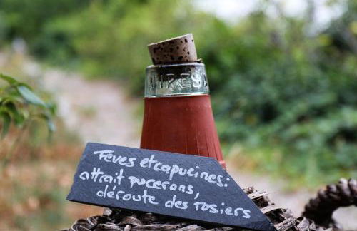 domaine des tilleuls d'or - Foto 38