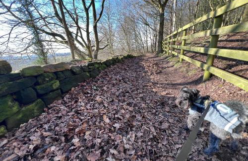 Sunny Hill Cottage Milford with fabulous views near Belper Duffield - Foto 56