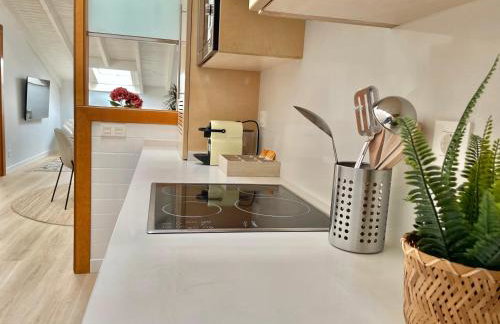 Corazón de la Ciudad by apartamentoscatedralcamino - Foto 12