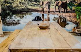 ô Safari appart 8p prôche de Boulogne-sur-mer - Foto 67