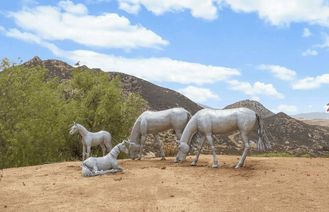 20 Acre Panoramic View Estate Hot Tub, Pickleball & Game Room - Foto 41