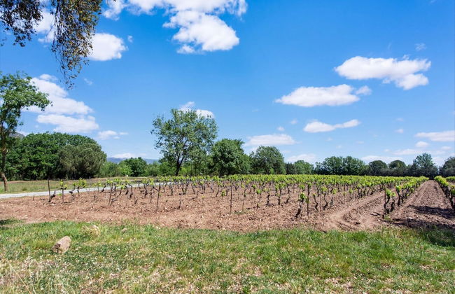 Beautiful Holiday Home With Swimming Pool - Photo 32