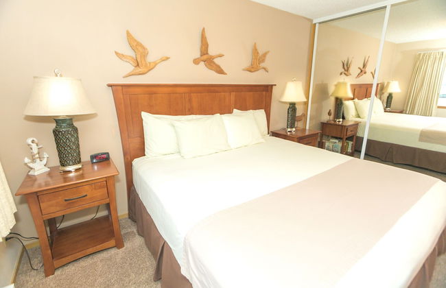 The Grey Gull - Foto 45