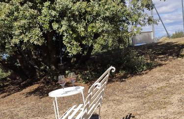 El encinar de Gabino - Foto 49