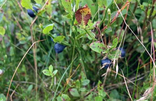Mill Cottage, Upper Hulme - Photo 26
