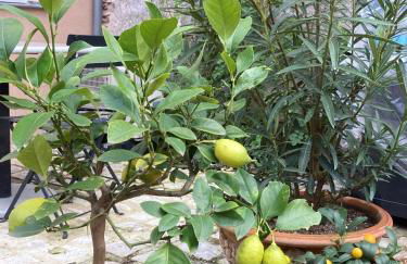 La Maison du Cocher - Studio climatisé en Hypercentre - Photo 12