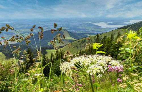 Seethal-Chiemseestrand - Foto 19