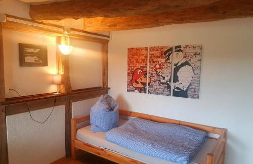 Große Bauernhaus Ferienwohnungen bis 100qm mit E-Bike-Verleih - Foto 46