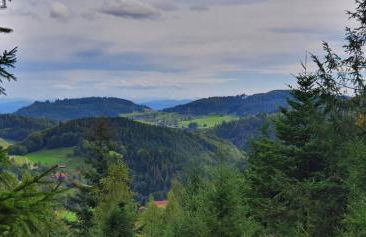 Wohnung im Schwarzwald mit Panorama Blick - Foto 37