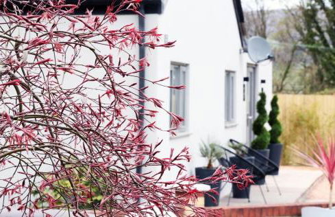 Pen-Y-Worlod Cottages - Foto 5