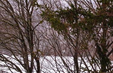 Ferienwohnung Merlina WLAN-Wandern-Radfahren-Motoradurlaub - Foto 14