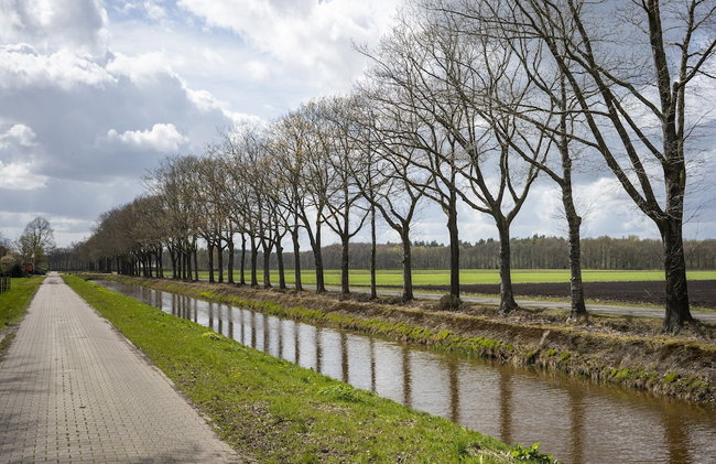 Holiday Home with Meadow View near Forests - Photo 34