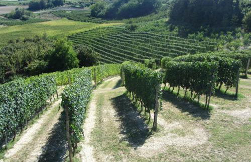 Costa Catterina B&B - Foto 41