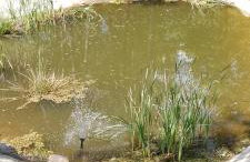 ,,Dom Na Skarpie'' z jacuzzi, sauną i basenem letnim - Foto 57