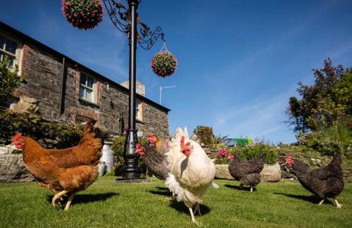 1 Bed in Tintagel oc-36926 - Foto 21